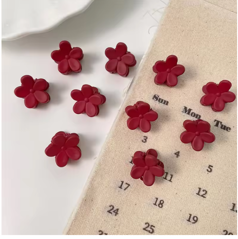 10 Pcs Mini Hair Claw Clips